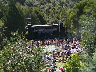 2010 Bush Party