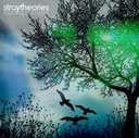 Stray Theories
