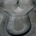 Back to the Skate Park