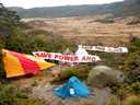 Save New Zealand